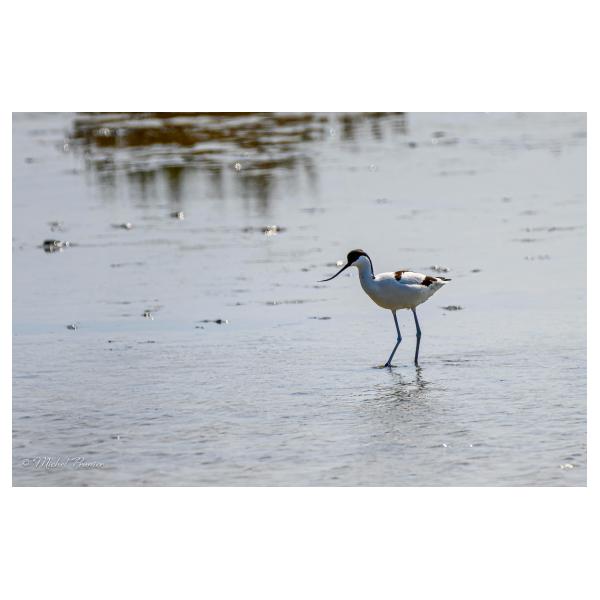 PHOTO84, CLUB, 84 , LUBERON